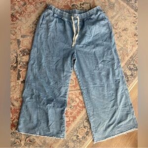 aerie soft landing trousers